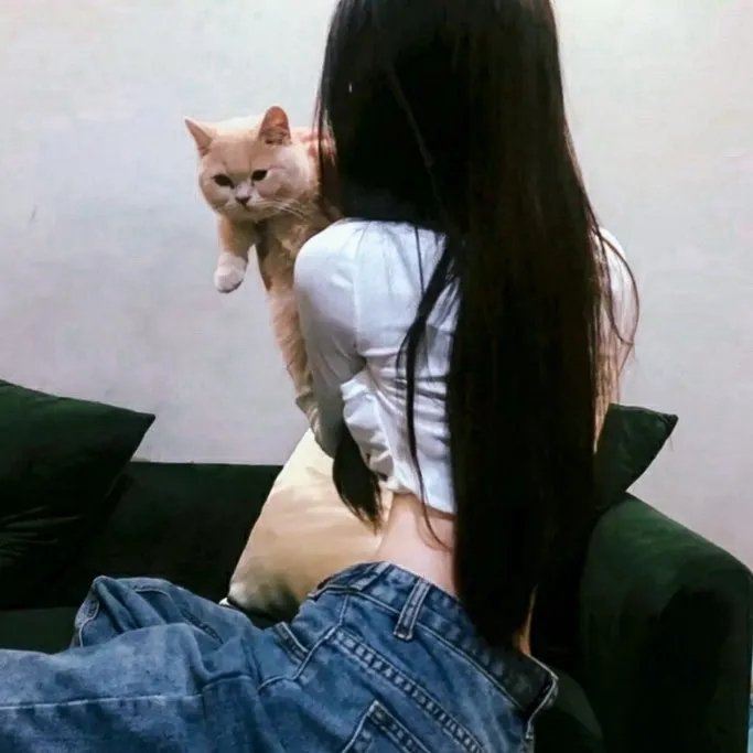 血迷宫
