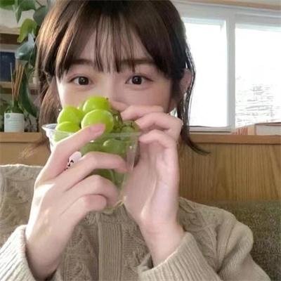 豆豆猫